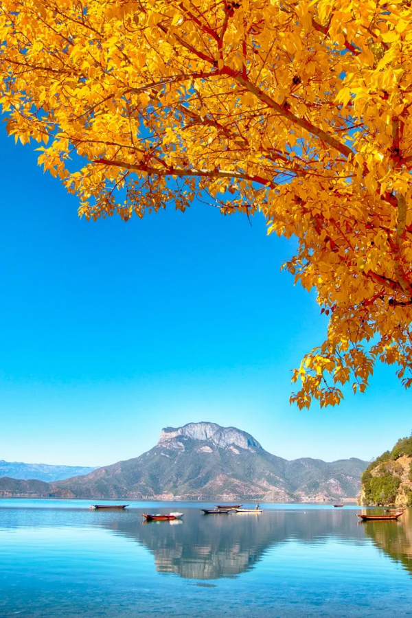 我去旅行，不是因為我有錢