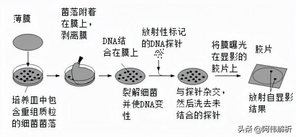 每日打卡 | 2022高考倒計時261天