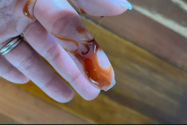 牆縫裡滲出濃稠的深色液體，居然是融化的蜂蜜？