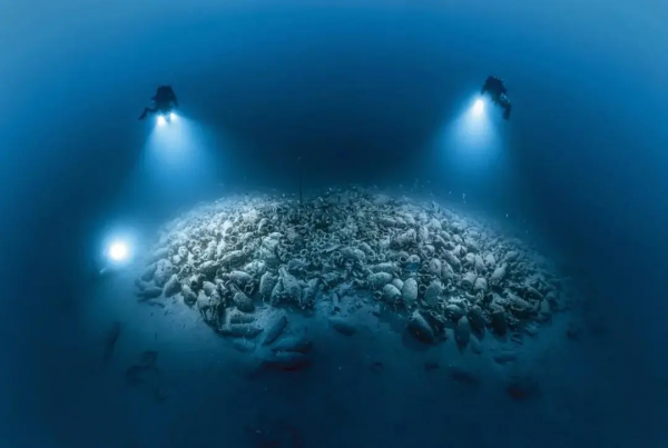 16部超讚自然紀錄片，讓孩子足不出戶看到地球的“真實面目”！