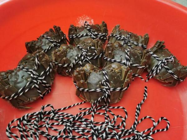 安徽水陽的“燕赤霞”