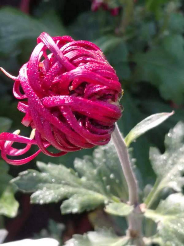 《道德經》：既要知人也要知己