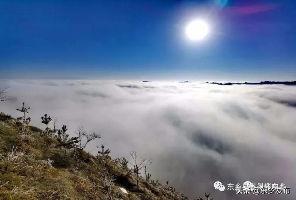 冬日雪景 感“霧”東鄉