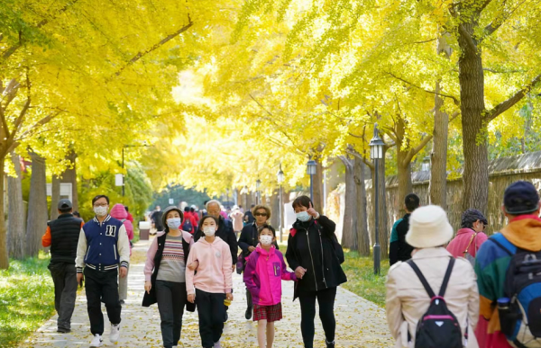 美圖｜秋遊圓明園哪兒人氣最旺？獨特在哪兒？本端現場直擊