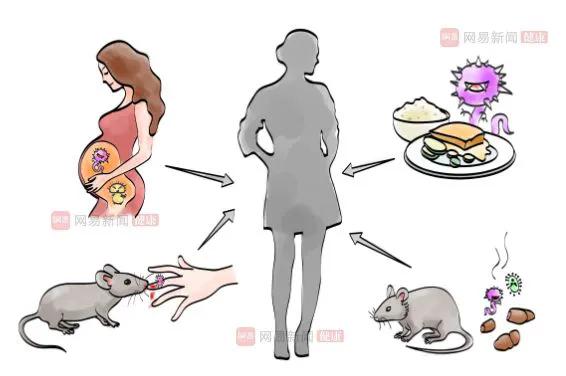 出血熱——健康密碼＃出血熱＃