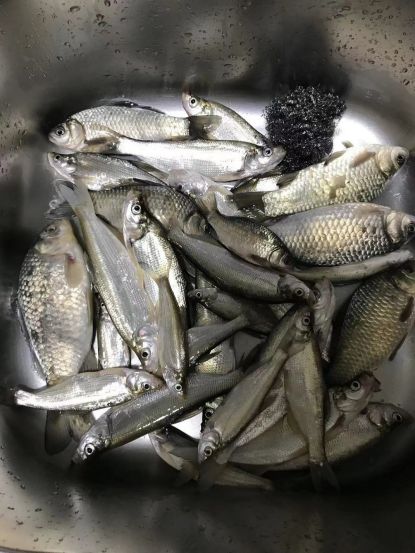 動手DIY橋筏新支架，完美適配釣箱，非常適合高臺釣位