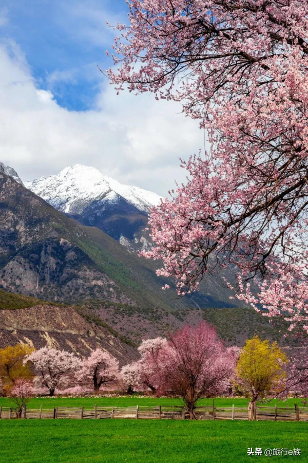 等一個人,陪我去西藏 等一個人,陪我去西藏