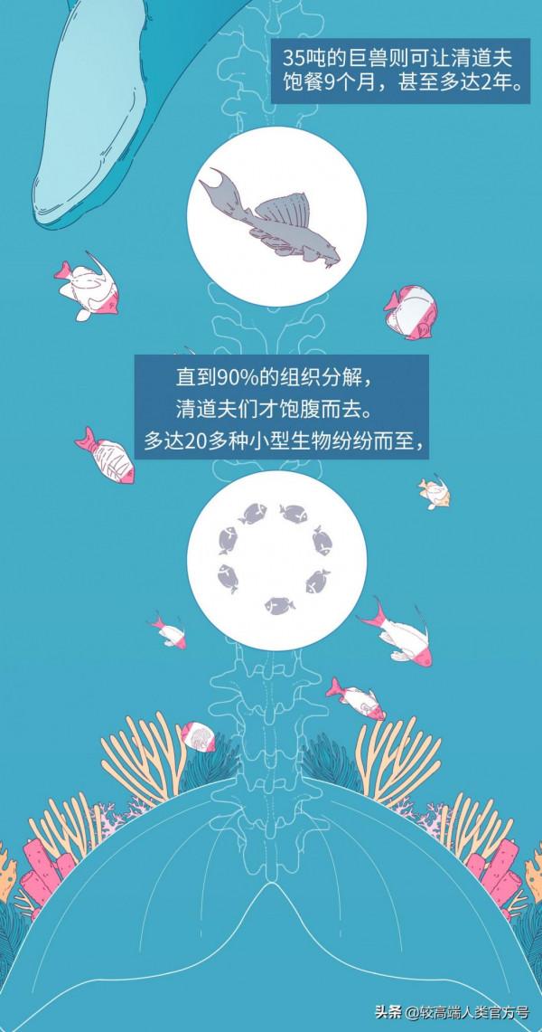 不久前，我目睹了世上最悲壯的死亡