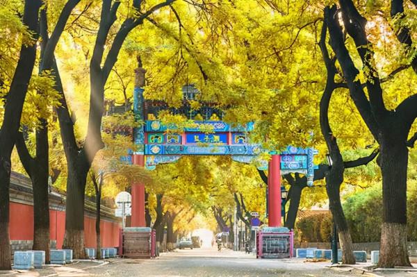 北京：京華清風吹送 首善正氣升騰