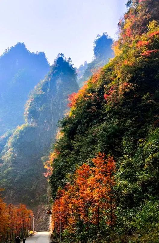 中國秋色正在上演!這9條自駕線,帶你領略不一樣的秋色 中國秋色正在上演!這9條自駕線,帶你領略不一樣的秋色