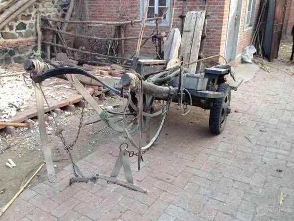 童年(1)—驢 童年(1)—驢