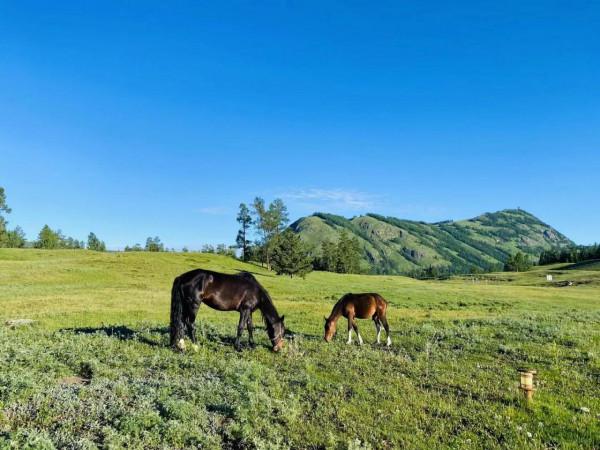 大美新疆-禾木 大美新疆-禾木