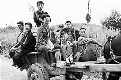 秋天裡的故事:割黃豆 秋天裡的故事:割黃豆