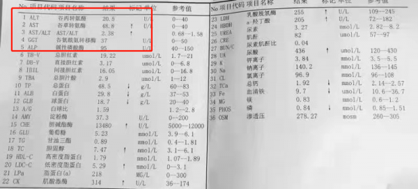 肝功能怎麼看？這三個指標需重視，如果正常說明你的肝臟很健康