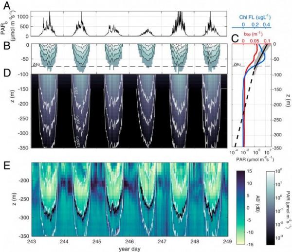 浮游生物可對雲層光線變化做出敏感反應