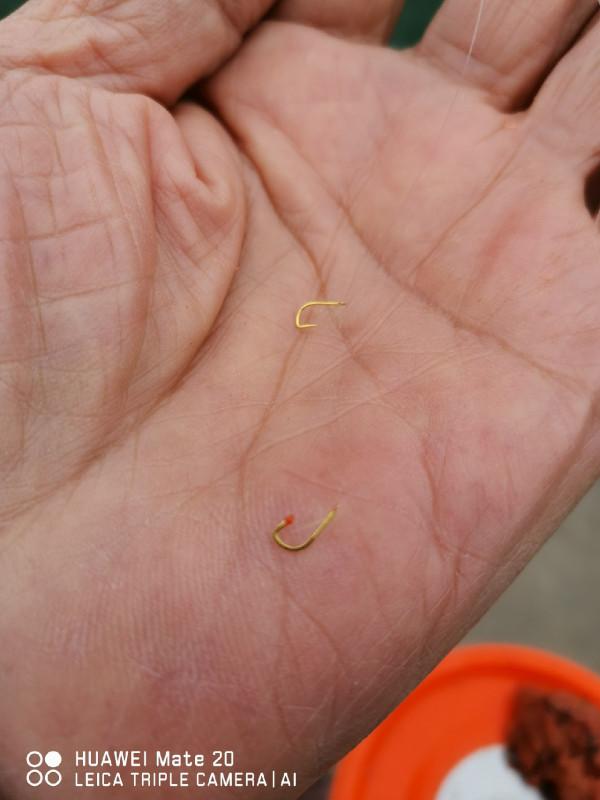 五個小時半碗淚水感動了水裡的精靈