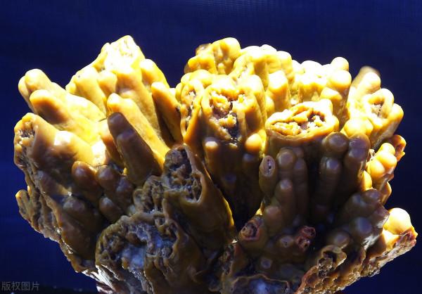 奇形怪狀的石頭