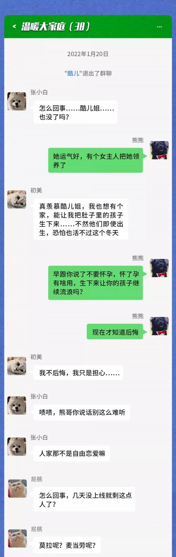 寒潮之下，流浪動物在一個群裡會聊什麼？