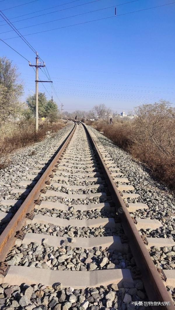 初冬用蚯蚓還是商品餌,實戰出真知 初冬用蚯蚓還是商品餌,實戰出真知