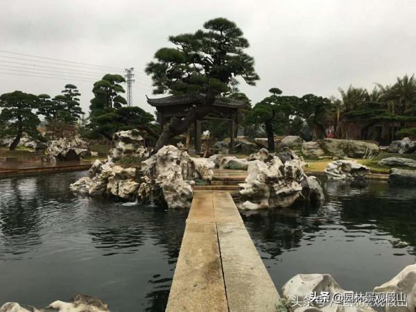 庭院魚池就要這6步，拒絕走彎路少花冤枉錢
