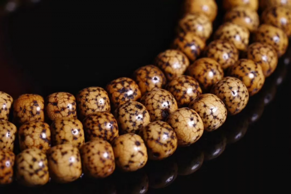 多少年前的老星月分分鐘都能被你整廢