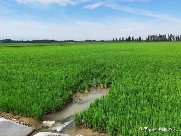 漢EV自駕新疆,純電動車自駕新疆已經不是問題,市區都有充電樁 漢EV自駕新疆,純電動車自駕新疆已經不是問題,市區都有充電樁