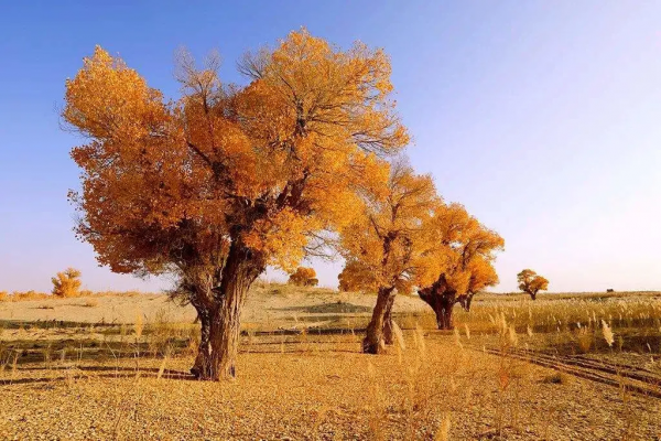 一到十月，這些地方的顏值就爆表，錯過就是一年