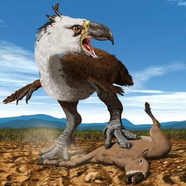 鳥類統治下的草原:恐鶴統治下的殘酷世界 鳥類統治下的草原:恐鶴統治下的殘酷世界