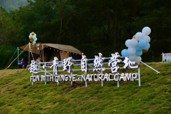 青島森林野生動物世界：園區不太野 管理倒挺野