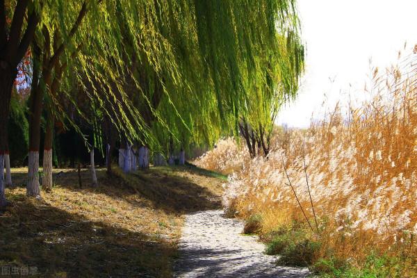 一省一秋!各省秋色“當紅”代言人,你的家鄉上榜了嗎? 一省一秋!各省秋色“當紅”代言人,你的家鄉上榜了嗎?