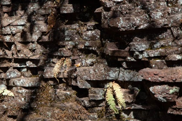 長白山旁望天鵝 - 那個殘破的火山口
