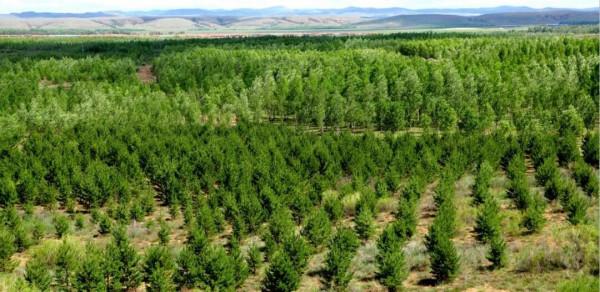 奧巴馬批評中國、俄羅斯保護環境不利,結果反被77個國家指責 奧巴馬批評中國、俄羅斯保護環境不利,結果反被77個國家指責