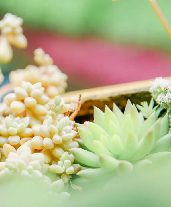 人生,有時不妨來點自嘲,十二首自嘲的詩詞,總有一句適合你 人生,有時不妨來點自嘲,十二首自嘲的詩詞,總有一句適合你