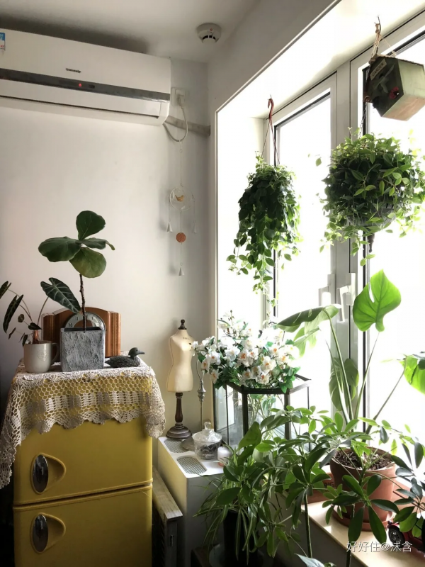 獨居女子神級改造60平小戶型，竟塞下五大功能區，收納顏值雙逆襲