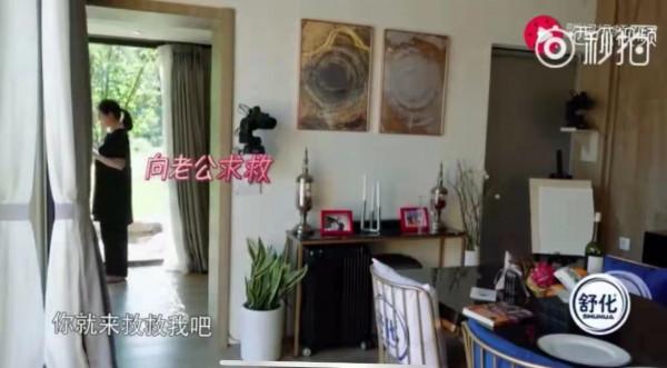 “狼女”大S的雙面人生：一人活成一匹狼，婚後變身小綿羊