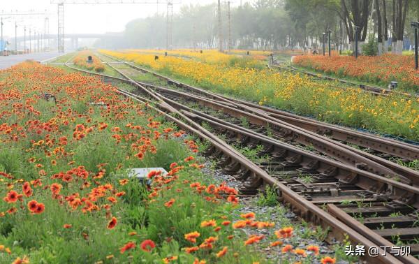 259.趣思|一路趕火車,記錄四片段,分享七個經驗 259.趣思|一路趕火車,記錄四片段,分享七個經驗