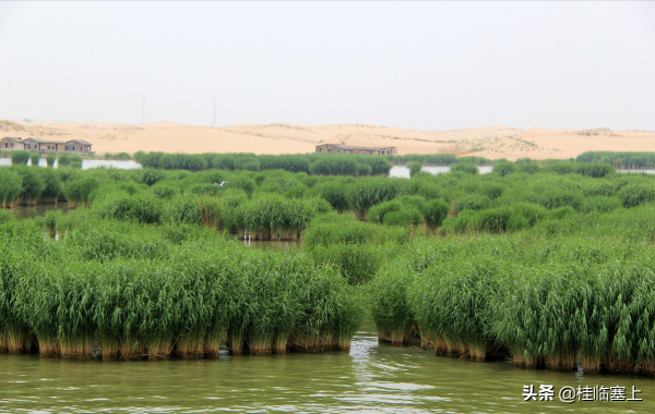 寧夏人文之明朝那點事56:沙湖,也曾經歷過烽火狼煙和金戈鐵馬 寧夏人文之明朝那點事56:沙湖,也曾經歷過烽火狼煙和金戈鐵馬