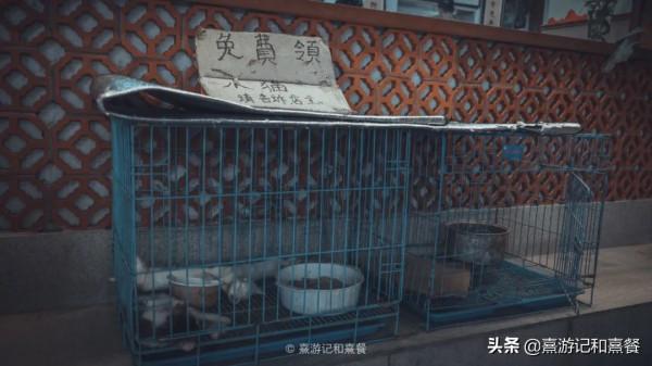 去了八次廈門之後，告訴你這30件事最值得