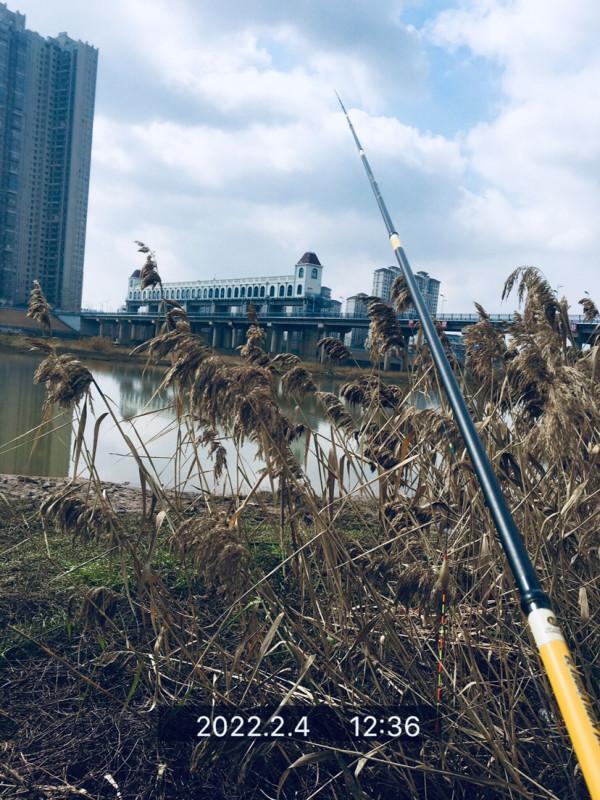 用老婆的菜籃子裝新年的第一&OpenCurlyDoubleQuote;金&rdquo;