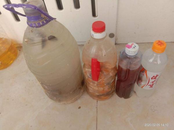 換盆舊土加點“廢料”，不花錢土肥的流油，花呼呼爆盆