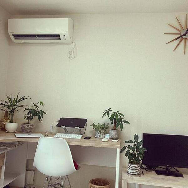 乾淨整潔的白色房間，配上不同品種，不同大小的綠植，效果大不同