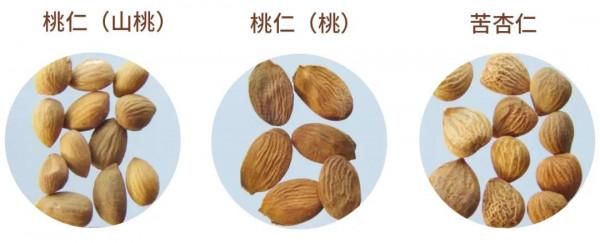 每天學習一味中藥——苦杏仁