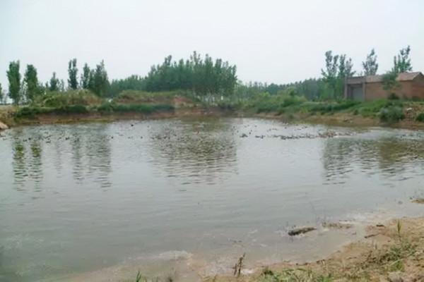 小學生魚塘撈魚,無意發現千年黃金,家長主動上交,現成鎮館之寶 小學生魚塘撈魚,無意發現千年黃金,家長主動上交,現成鎮館之寶