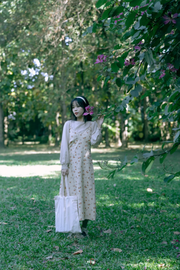 抓住秋天的影子，至少要去一次「華南植物園」