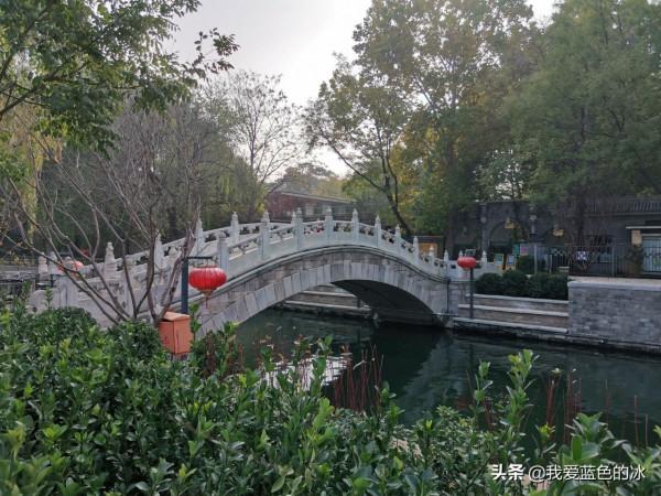重遊北京動物園，覺得綠化美化比以前好了很多
