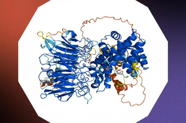 美媒盤點:2021年最“花裡胡哨”的十大工程創新 美媒盤點:2021年最“花裡胡哨”的十大工程創新