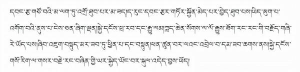 藏文科普 | 從腸道微生物到人體司令部