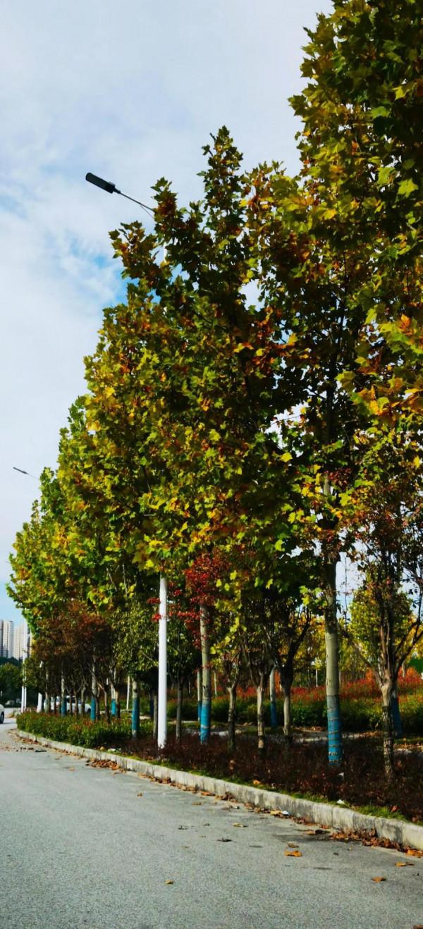 我為什麼恨那個把我從“坑”里拉出來的人？