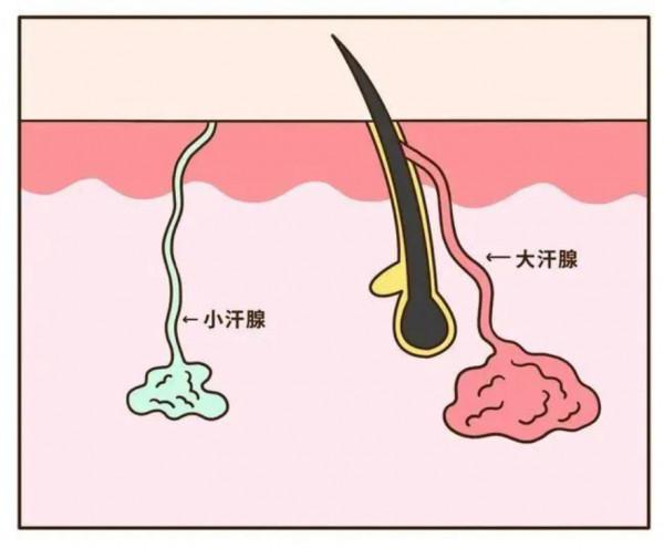 人離不開鹽，十天不吃鹽就渾身無力，那原始人怎麼辦？