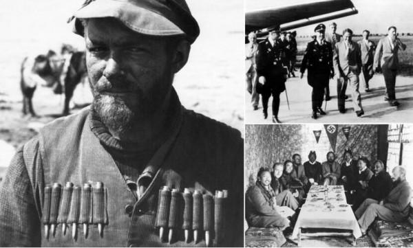 人類進化過程中，有哪些不合常理的事件發生？